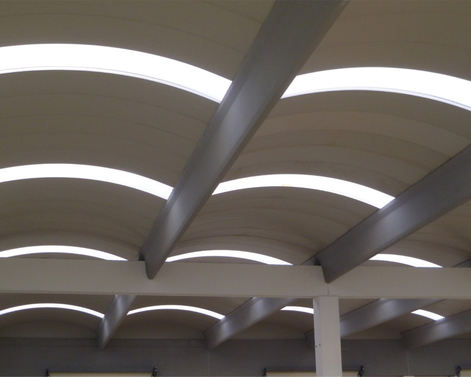 STRUTURA